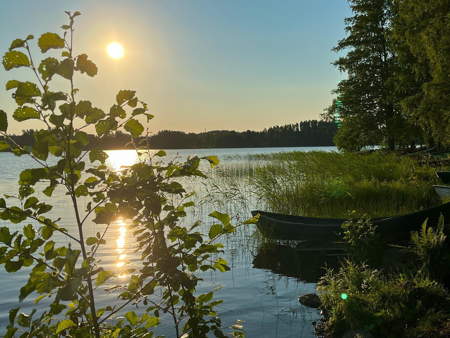 Mä lykkään purteni laineillen
ja järven poikki sen ohjaan
ja lasken salmia saarien
tuon pienen poukaman pohjaan.
Ja rannalla lahden tyynen sen
on tuoksuva tuomilehto,
koti peippojen, kerttujen keväisten
ja laulujen, tuoksujen kehto.
-Eino Leino-
#kesä #kesäaamu #järvi #koivu #vene #einoleino #runo #summer #lake #jyväskylä #tuomiojärvi #boat #june